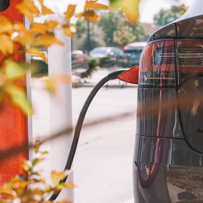 A close-up shot from behind autumn leaves shows a dark grey Tesla Model X plugged into a red Supercharger station