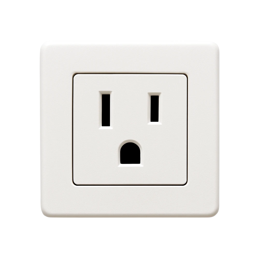 Tesla NEMA 5-15