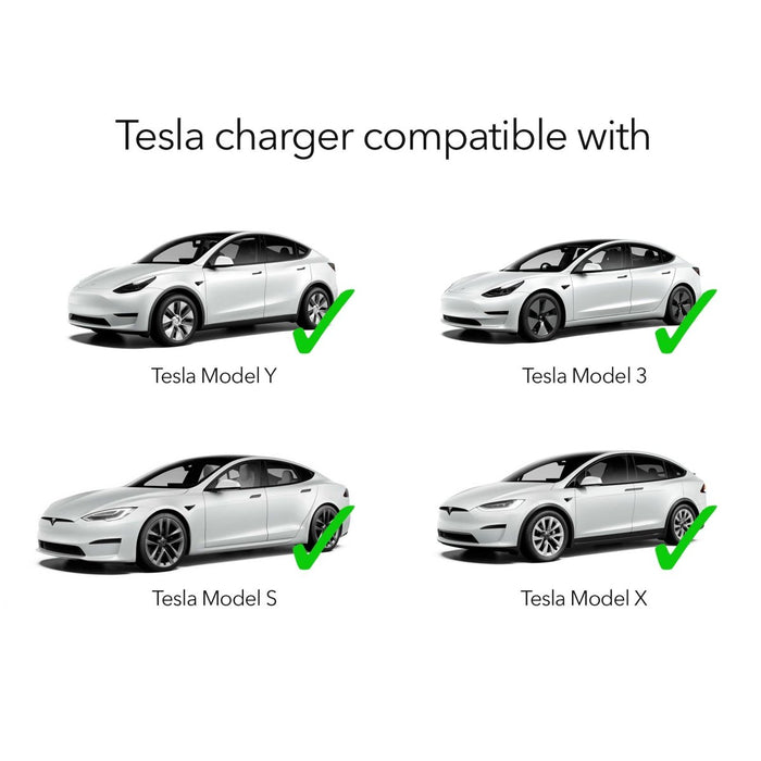 Lectron Portable Level 1 Tesla Charger + Charger Mount Bundle | 110V | 15 Amp | NEMA 5-15
