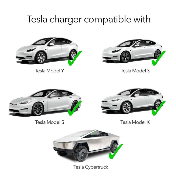 Lectron Portable Level 1 Tesla EV Charger | 110V | 15 Amp | NEMA 5-15